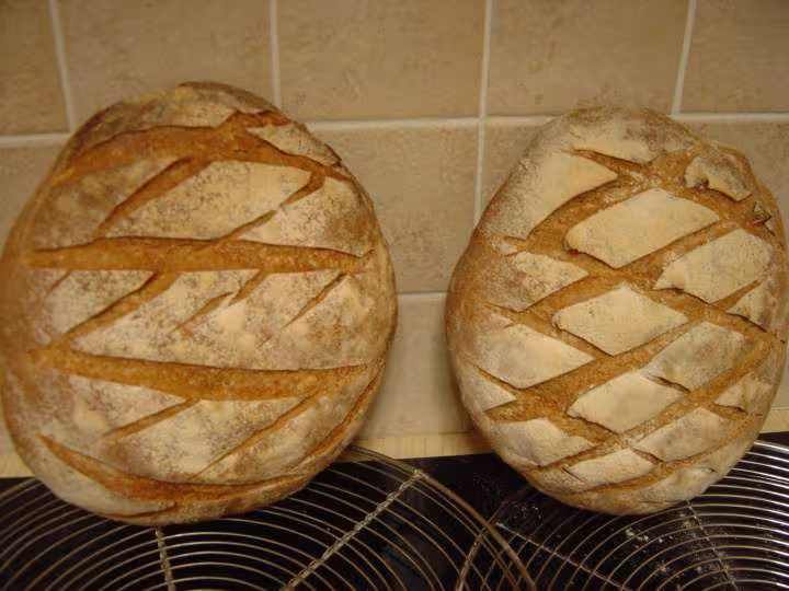 Pain au levain t80