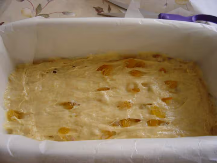 Panettone au levain avant levee 10 2007