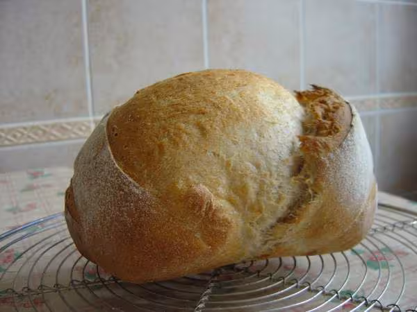 Pas au levain petri en map