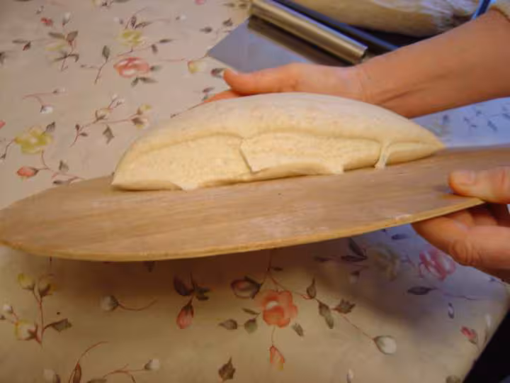 Paton