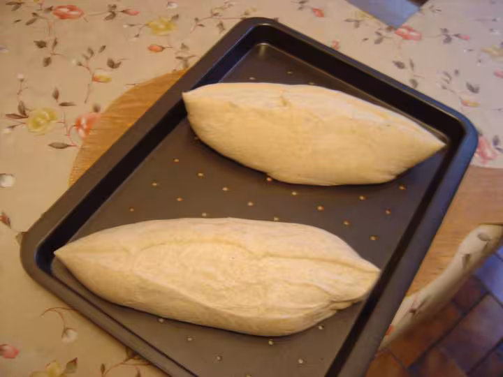 Paton