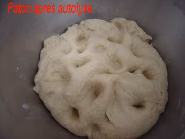 Paton apres l autolyse