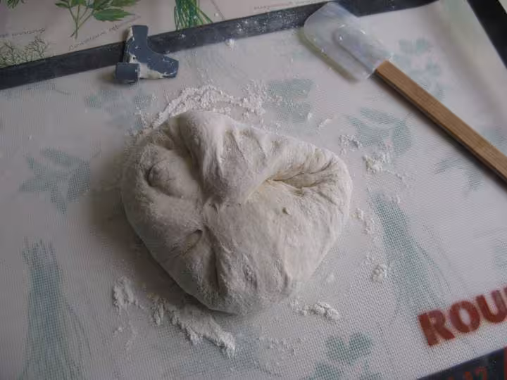 Paton pain au levain t65