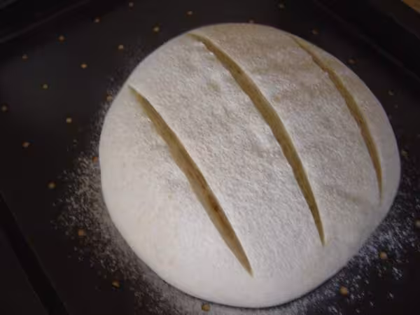 Paton pret a cuire pain au levain