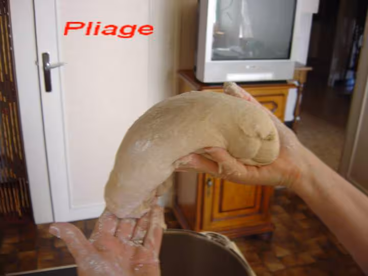 Pliage 1