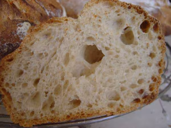 Pointage long frigo pain au levain