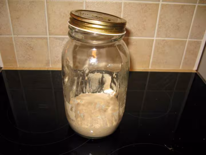 Repas levain jour 8