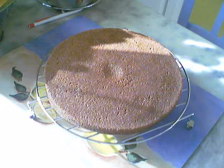 Gateau mousseux au chocolat