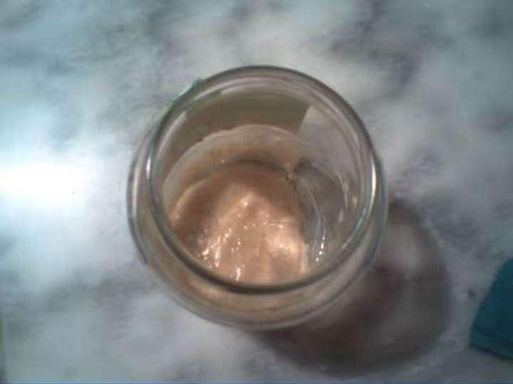Levain
