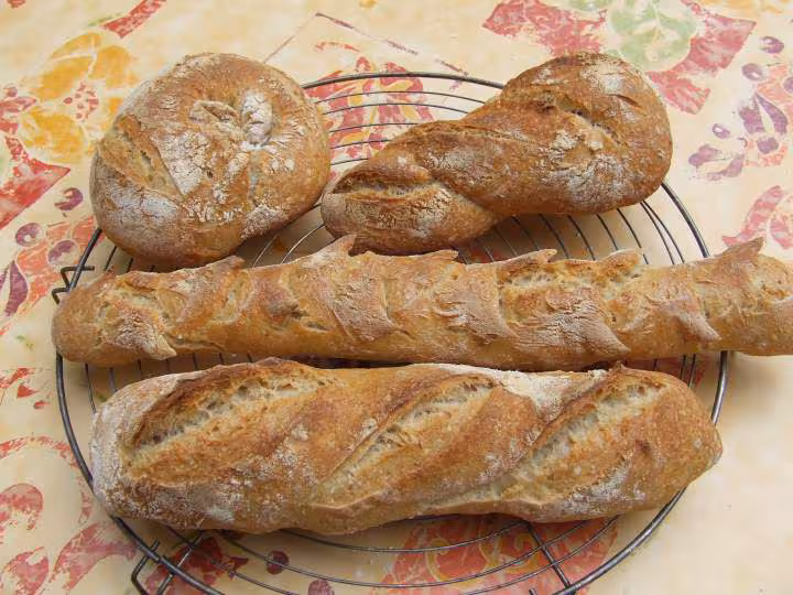 1er pain au levain