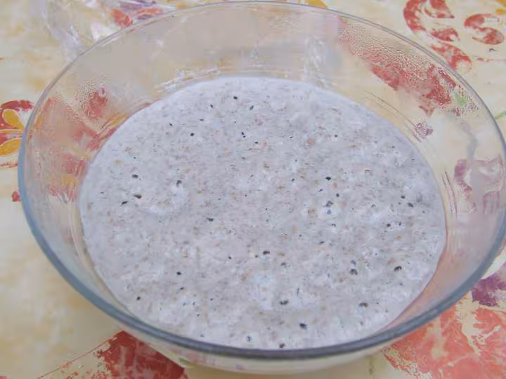 Levain