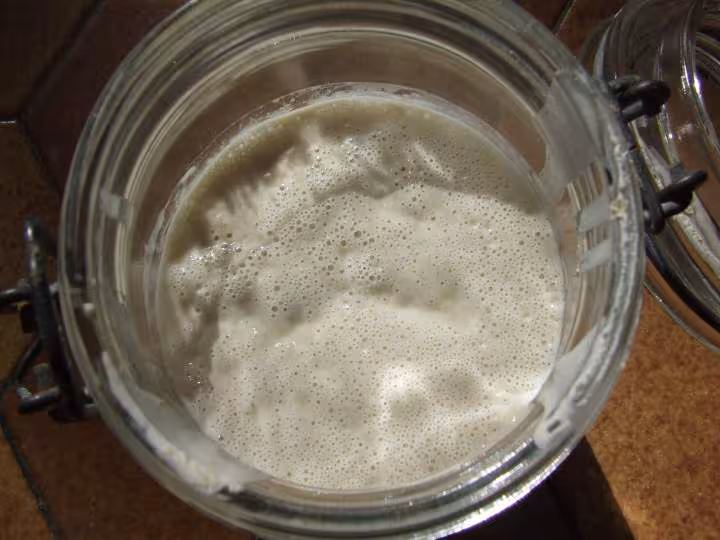 Levain liquide