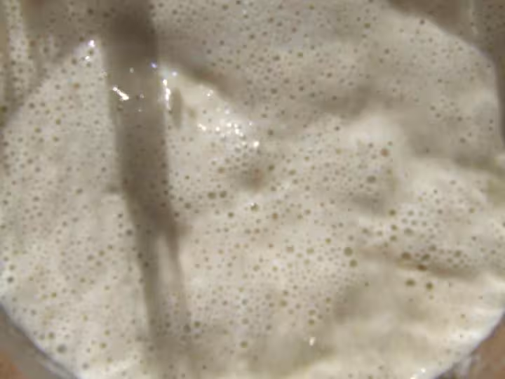 Levain liquide