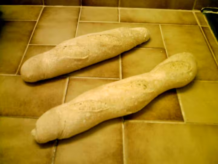 Baguettes rescapees