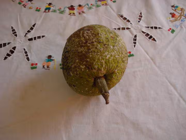 Fruit a pain