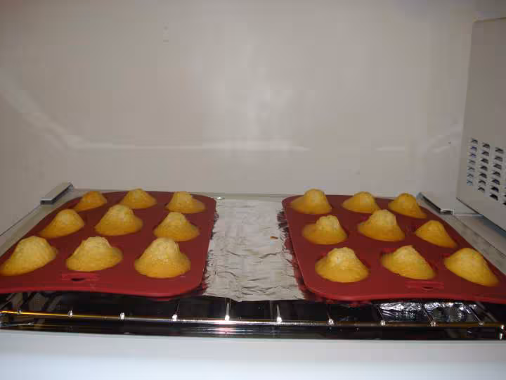 Madeleines2