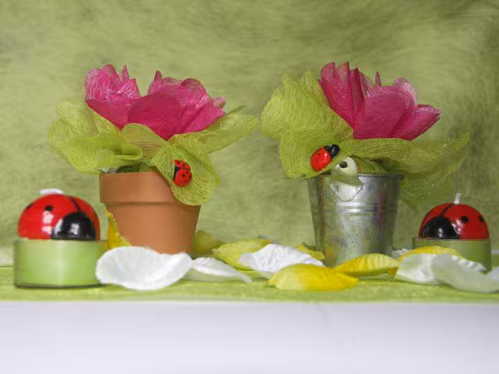Idee de presentation dragees