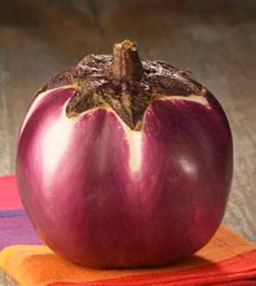Aubergines rondes