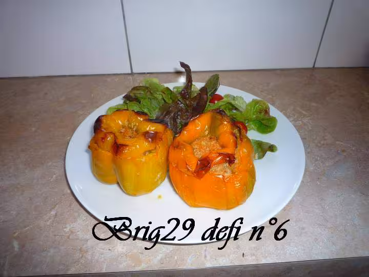 Brig29