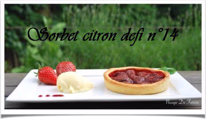 Sorbet citron 14