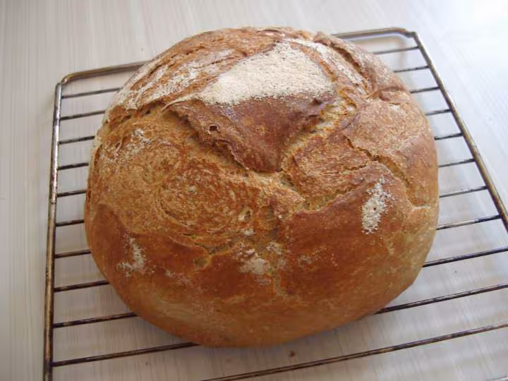 Pain 100 campagne cocotte