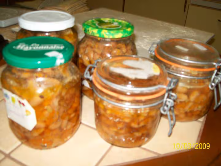 Bocaux d agneau aux carottes et haricots frais