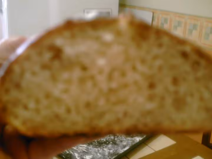 Mie du pain sans petrissage