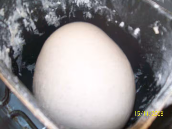 Mon seigle de tatizaza au levain