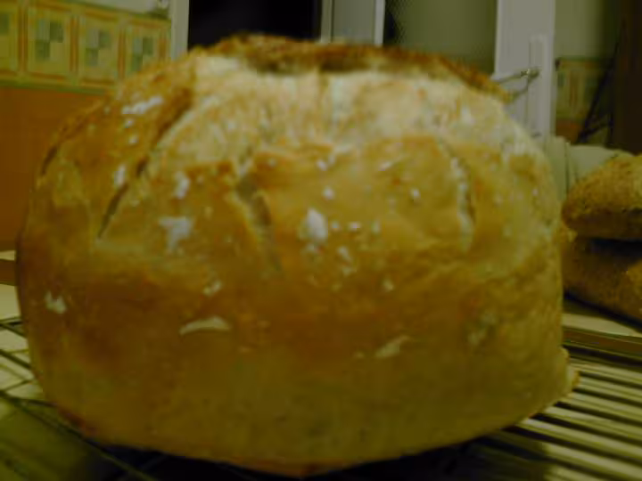Mon zaalish au levain