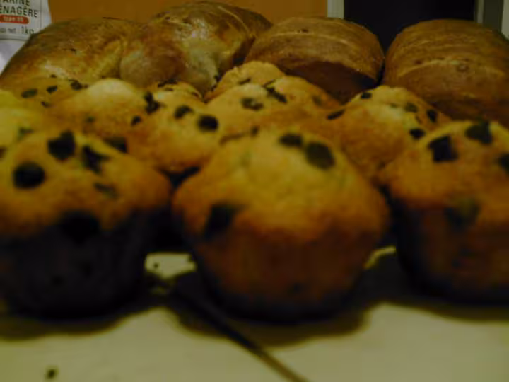 Muffins a la noix de coco et pepites de chocolat