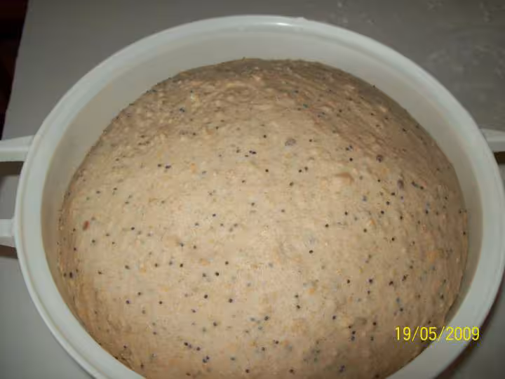 Pain complet au levain avec poolish 1ere levee