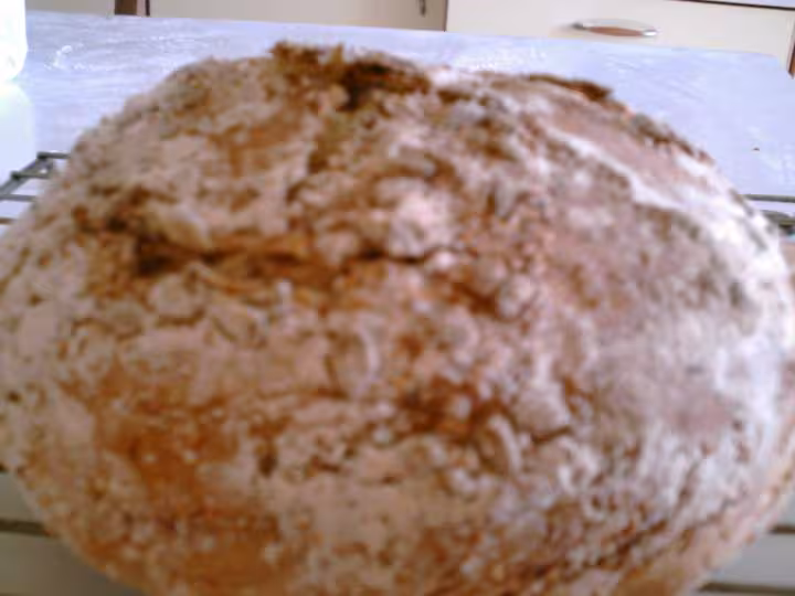 Pain p s p de jim lahey au levain liquide