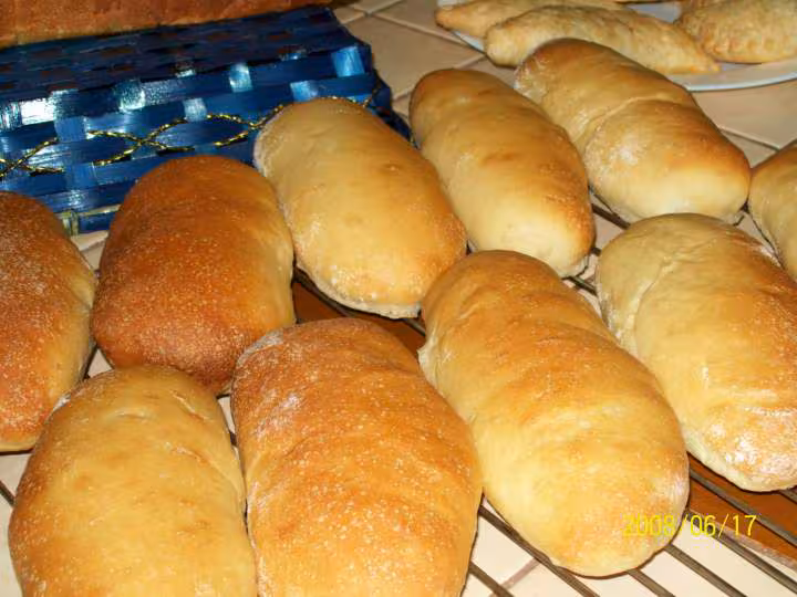 Panini