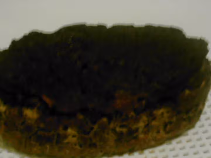 Terrine de sanglier