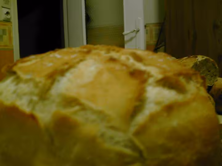 Zaalish et ses grignes