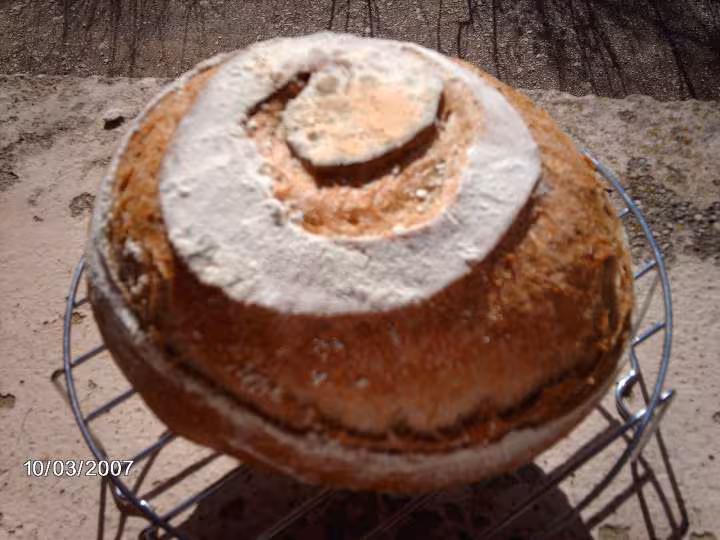Boule de campagne