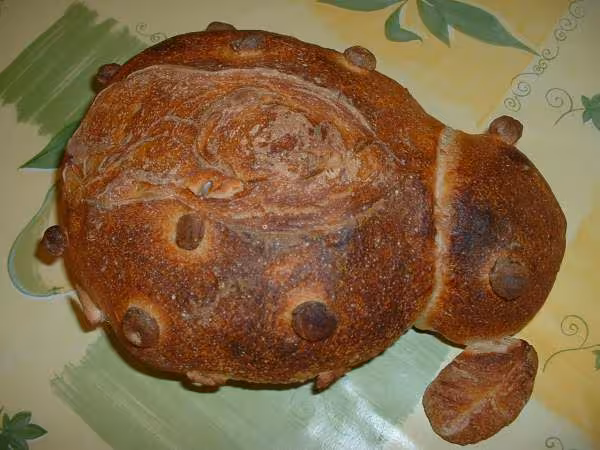 Coccinelle au levain et pate fermentee