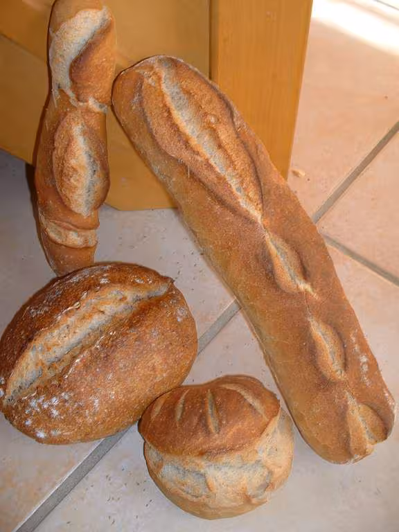 Fournee de pains de campagne
