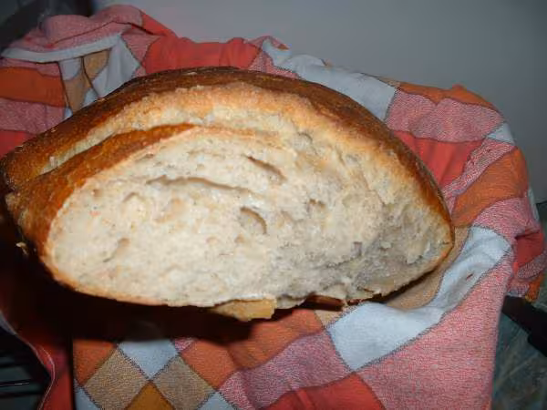La mie du pain carapace