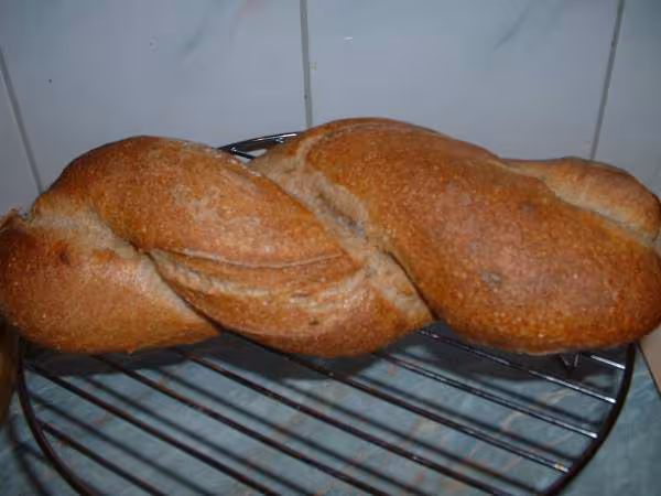 Le tordu