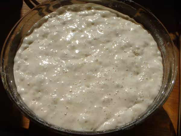 Levain liquide denome bork kayser