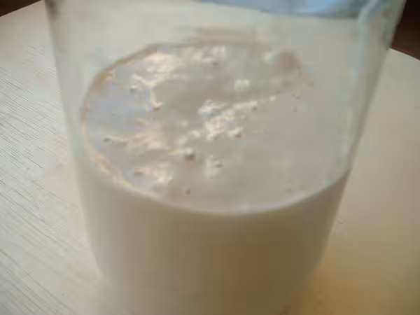Levain liquide denomme bork kayser 7 mois