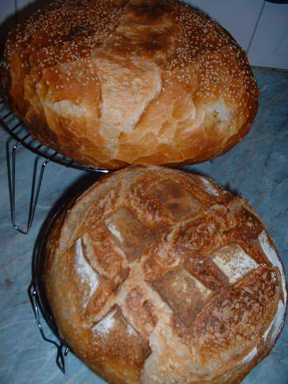 Miches levain al di et tout levain