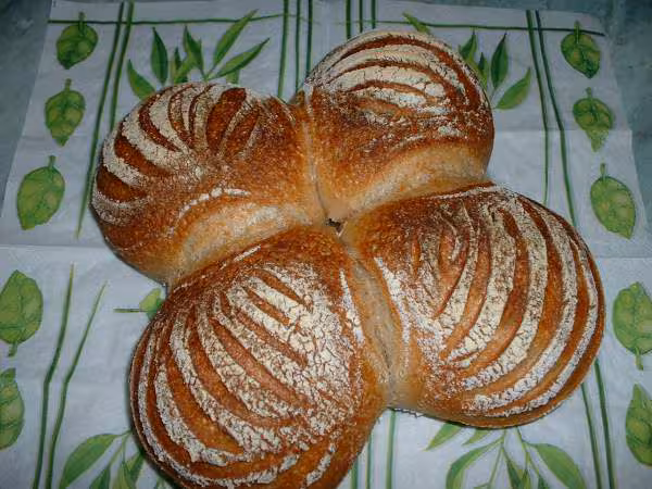 Pain boules au kamut et levain