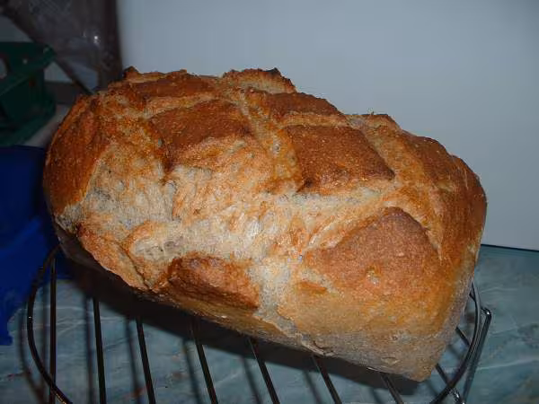 Pain moule au sarrazin et epeautre et les grignes