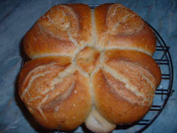 Pain total levain mais et graines tournesol porte bonheur