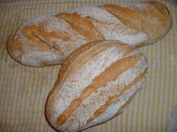Pains campagnards