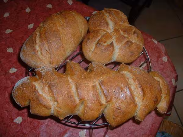 Pains de campagne