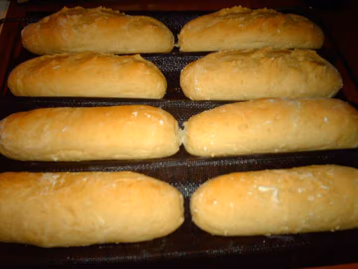 Pains hot dog fin de cuisson