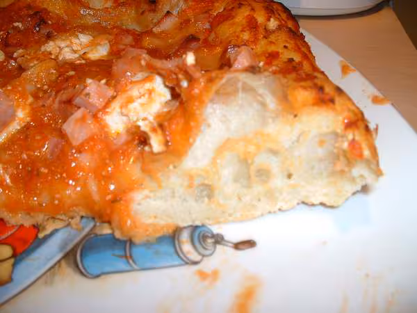 Pate a pizza kayser coupe
